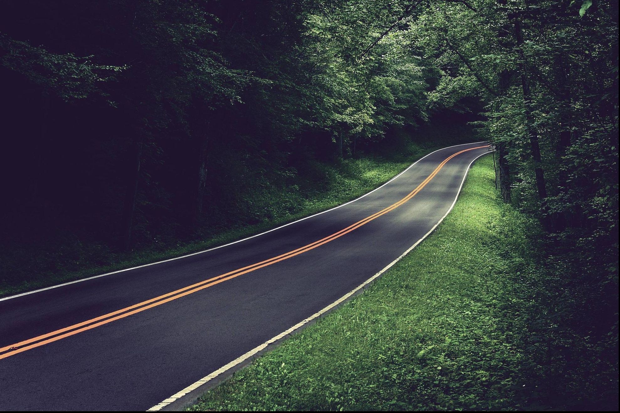 A ieșit de la o nuntă și s-a întins pe șosea, lângă axul drumului. Deznodământul este tragic