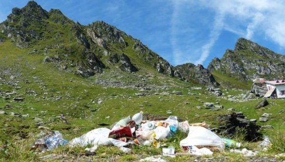 Eurobarometru: 88% dintre români susţin că respectă regulile de protejare a naturii