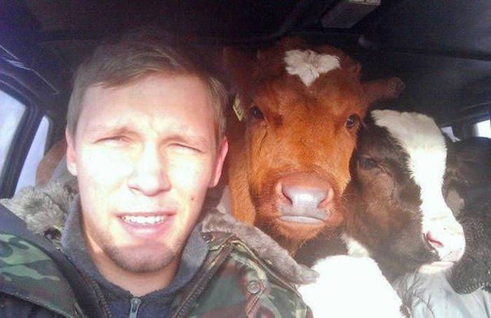 În Rusia, lucrurile se întâmplă altfel! Imagini care te fac să râzi cu lacrimi 