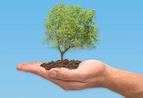 „Plantăm, protejăm, suntem responsabili!”, campania vedetelor pentru o Românie verde