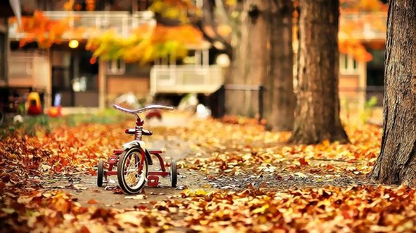 Vremea se schimbă. La ce temperaturi să ne aşteptăm mâine