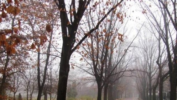 Vremea se răcește. Prognoza meteo pe trei zile 