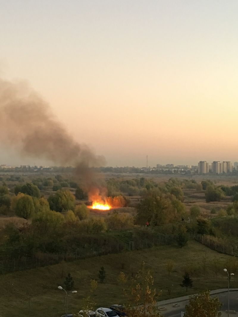 Incendiu puternic pe delta Văcăreşti