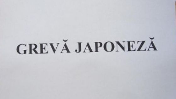 Sindicaliștii de la Mediu, în grevă japoneză. Ce solicită aceștia