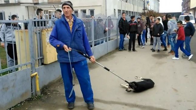 Un câine este schingiuit de hingheri sub ochii elevilor 