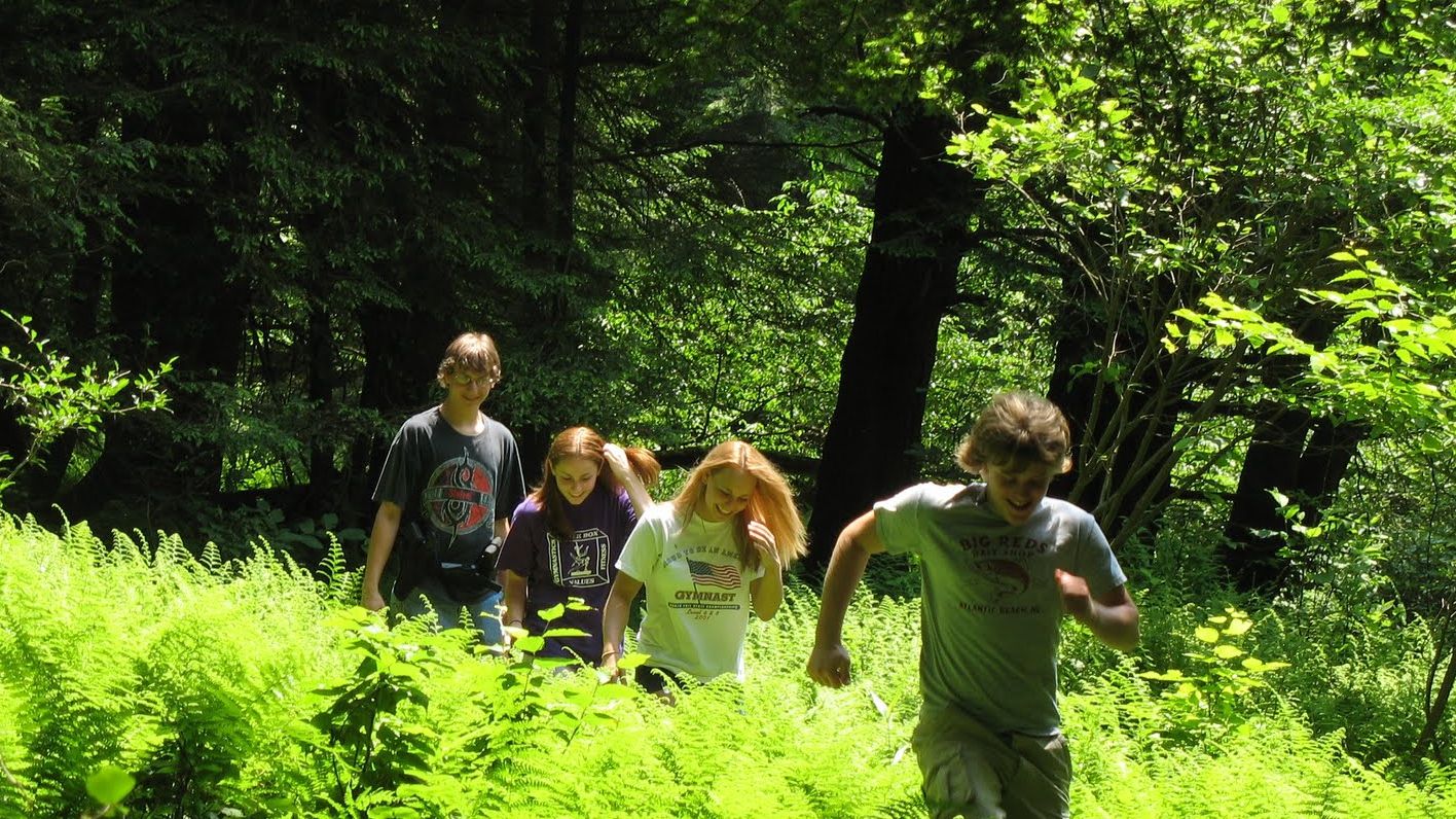 Se jucau în pădure, dar au făcut o descoperire şocantă. Autorităţile au intrat în alertă