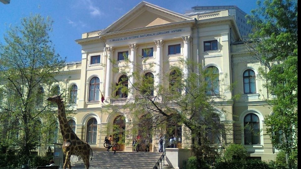 Dacă ai nume de animal, intri gratuit la Antipa. Oferta este valabilă doar astăzi