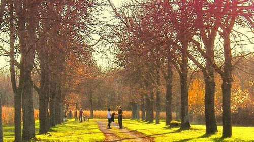 Vremea se încălzește. Prognoza meteo pentru miercuri și joi