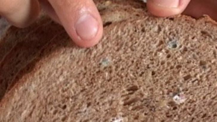 Cap de broască, găsit de un buzoian într-o pâine! OPC şi DSVSA Buzău fac anchete la producător