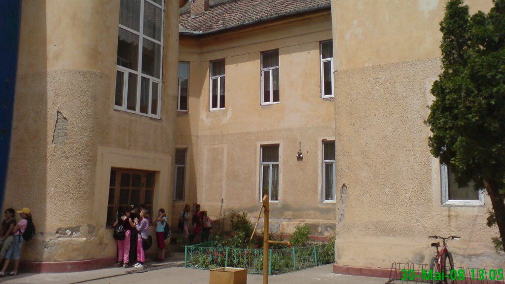 Scandal între o profesoară şi elevi, la un liceu din Timiş: "Am dat eu, ca să nu mă pocnească el"