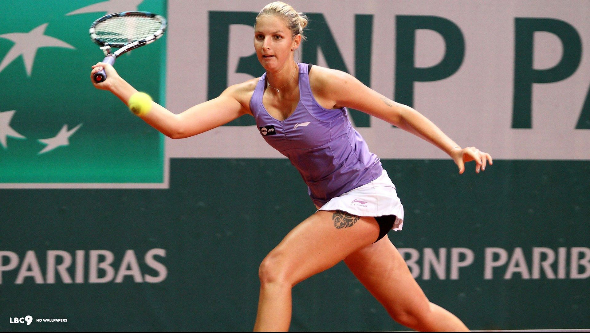 Cehia a învins Rusia în finala Fed Cup