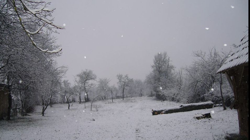 Ninge ca-n povești la Sibiu. Un strat subțire de zăpadă s-a depus, deja, pe străzi