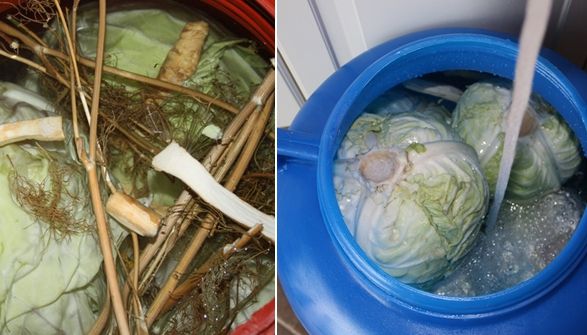 Cea mai tare reţetă varza murată la butoi din Banat. Ingredientul secret
