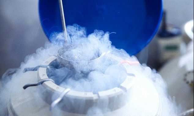 Cum arată primii căţei născuţi după un tratament de fertilizare in vitro