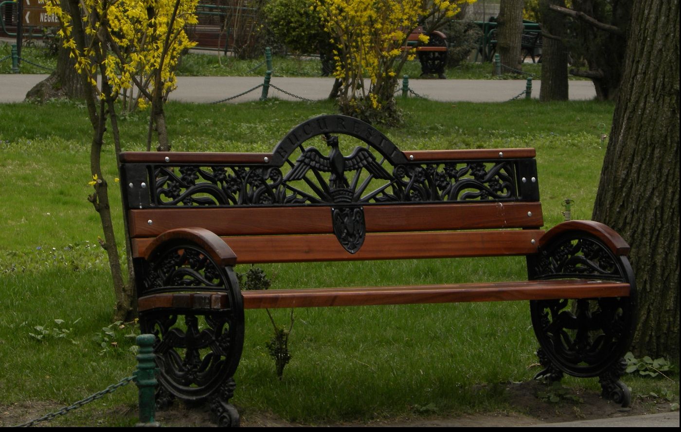 A văzut un pachet abandonat pe o bancă din parc.A înmărmurit când s-a apropiat și a văzut ce conține