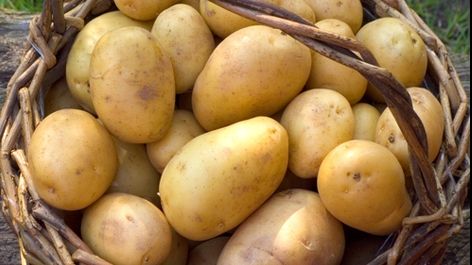Care este leguma pe care NASA vrea să o cultive pe Marte