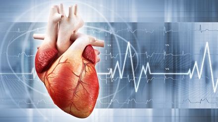 12 curiozităţi despre inimă pe care trebuie să le afli
