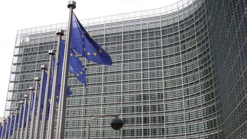 Femeia a pretins că este comisar european pentru a înşela oameni de afaceri. Care a fost continuarea