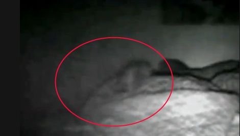 Panică într-o familie din Huşi: La început se auzeau sunete, iar apoi au început să se mişte lucruri