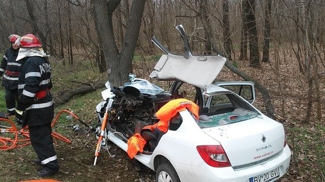 Accident șocant la Brăila. A evitat un mistreț ajuns pe șosea și s-a izbit de un copac