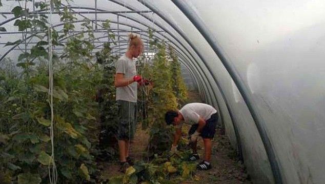 Francezi voluntari: Sărăcie mare am văzut şi în Filipine, dar în România e trist  