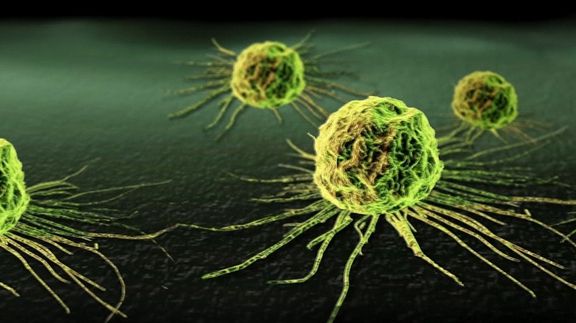 Adevărata cauză a cancerului. Ce nu spun niciodată medicii