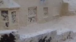 Locuitorii unui oraş sunt înspăimântaţi. Ce a apărut pe străzi 