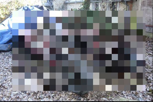 A găsit o mașină clasică, model rar,prăfuită în curte. A recondiționat-o.Cum arată și cât costă acum