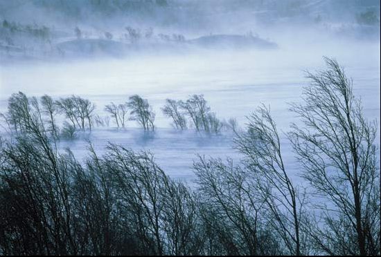 Anunțul de ultimă oră de la meteorologi. Cod galben în România
