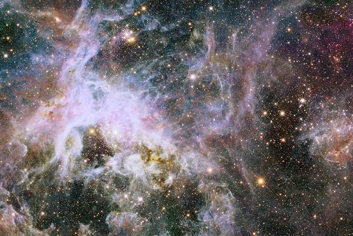 NASA a făcut o descoperire fără precedent. Acest roi stelar ascunde ceva greu de imaginat