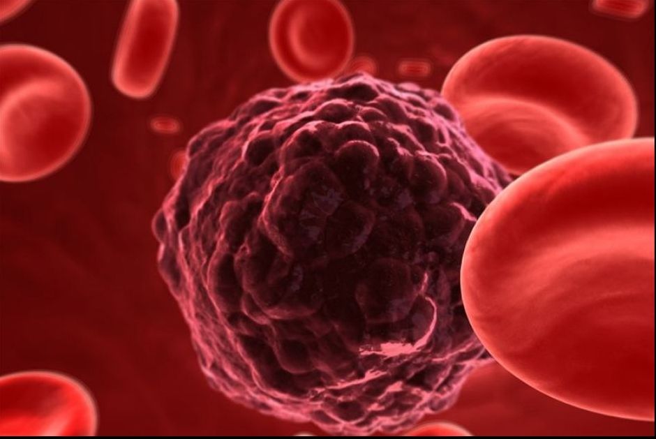 Planta care vindecă o formă agresivă de cancer în 16 ore
