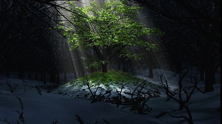Vreme închisă și friguroasă la început de săptămână. Temperaturile scad și sub 0 grade Celsius