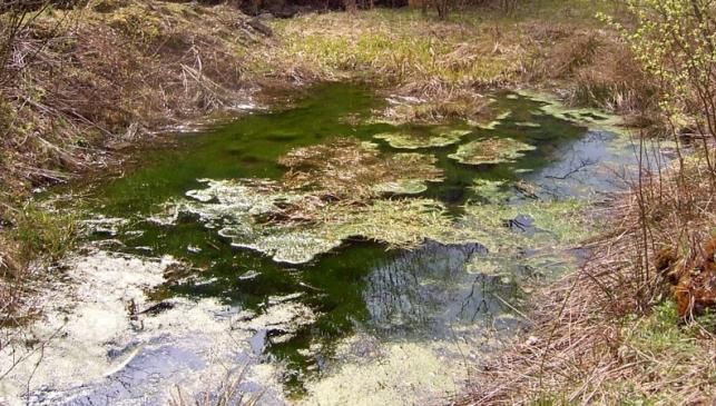 Balta Vrăjitoarelor, locul de lângă Capitală. Nimeni nu poate explica ce se întâmplă