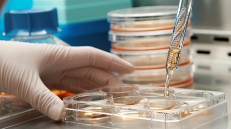 Studii de cercetare/ Arhivă foto