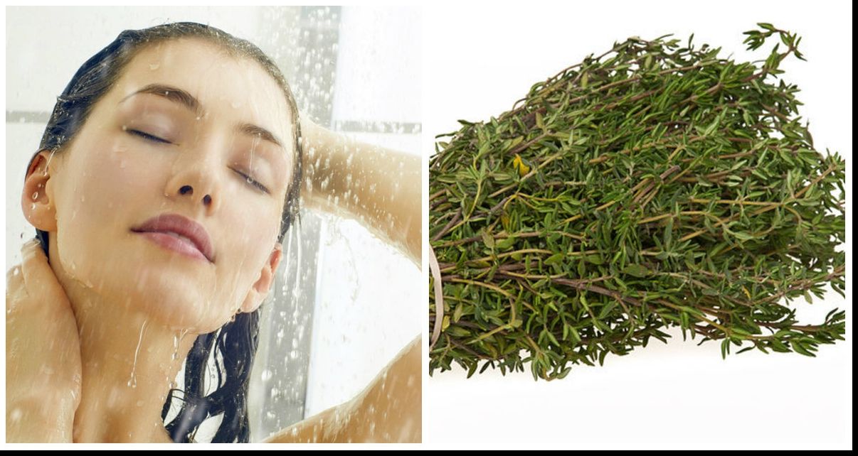 De ce e bine să te speli pe cap cu apă în care ai fiert cimbru. Efectele sunt surprinzătoare