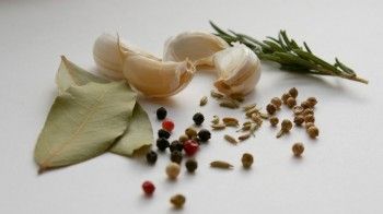 Ierburi şi alimente cu proprietăţi antibiotice
