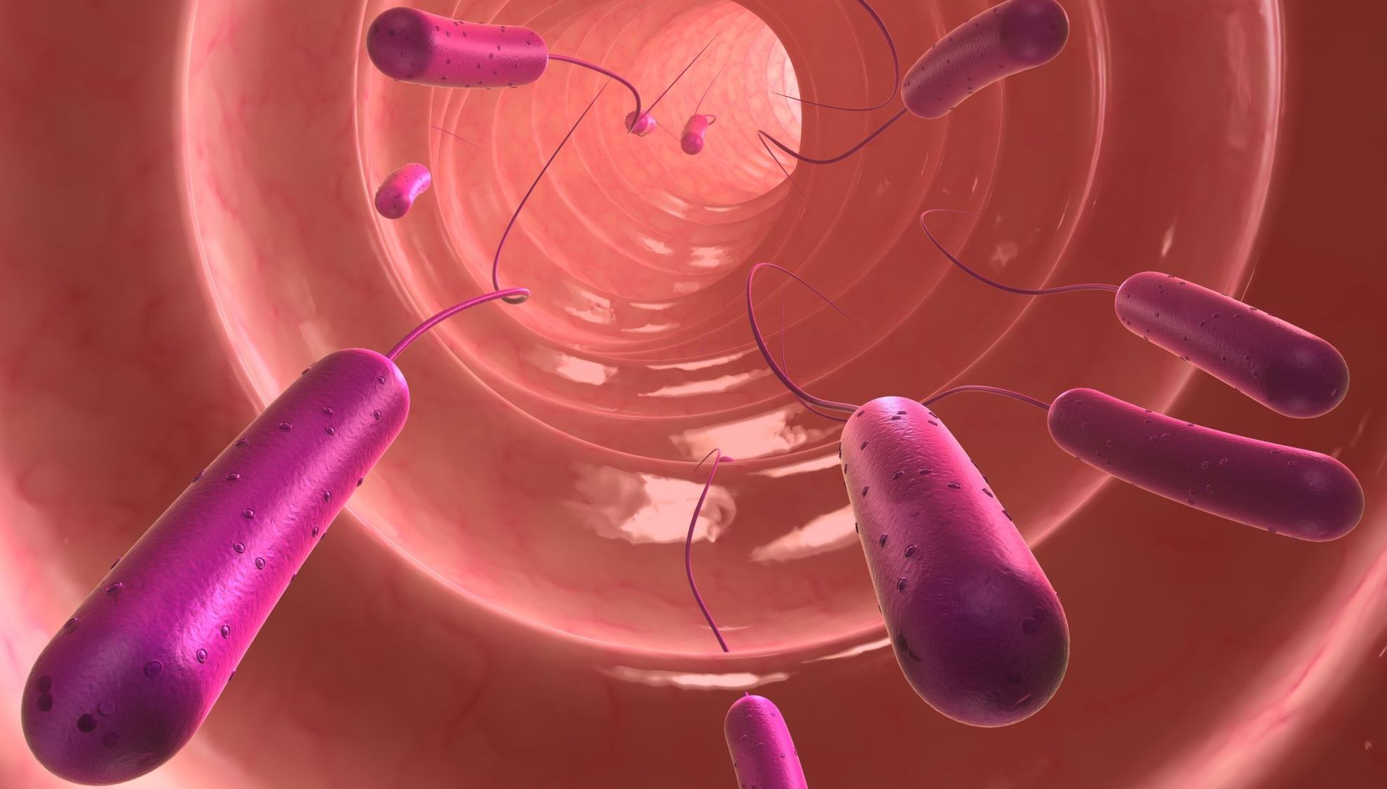 Ce este bacteria E. Coli. Toxina care a pus România pe jar