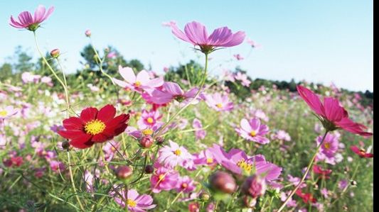 Zile cu temperaturi de până la 27 de grade. Prognoza meteo pe următoarele două săptămâni 
