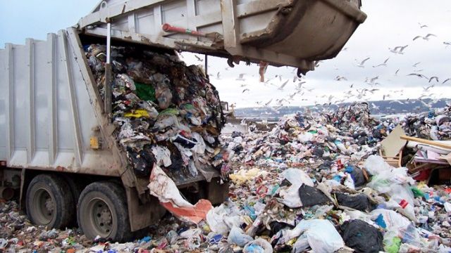 Căuta prin gunoaie, dar nu se aştepta să găsească aşa ceva. A încremenit!