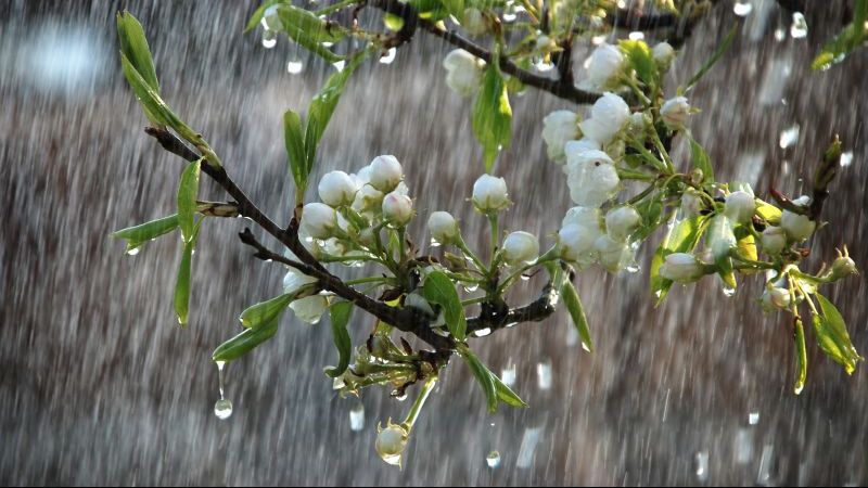 Prognoza METEO: Gata cu căldura, urmează temperaturi scăzute și ploi pe arii extinse