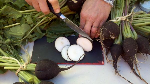 De ce e bine să mănânci ridiche neagră. Efectele sale asupra organismului sunt incredibile!