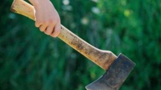 Politician atacat cu securea de un bărbat. Care a fost motivul disputei