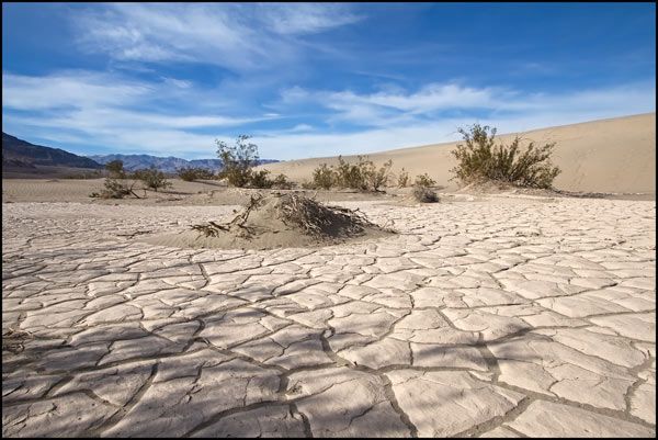 Fenomen rar, dar spectaculos, în cel mai arid loc din lume. Cum a revenit la viaţă Valea Morţii