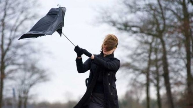 Veşti proaste de la meteorologi. 8 judeţe, sub Cod Galben de vânt