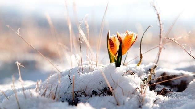 Soare cu dinţi, lapoviţe şi ninsori. Prognoza meteo pe trei zile 