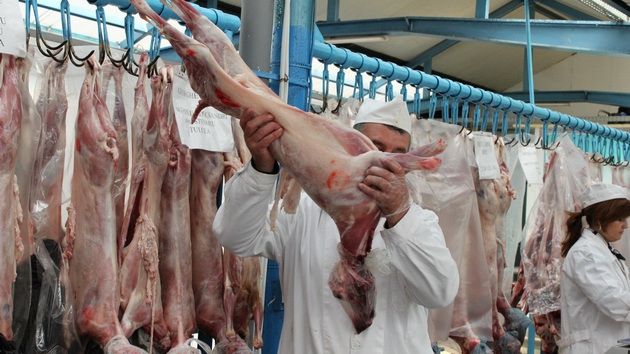 Miel sau câine? Cum ne dăm seama ce punem pe masa de Paşte