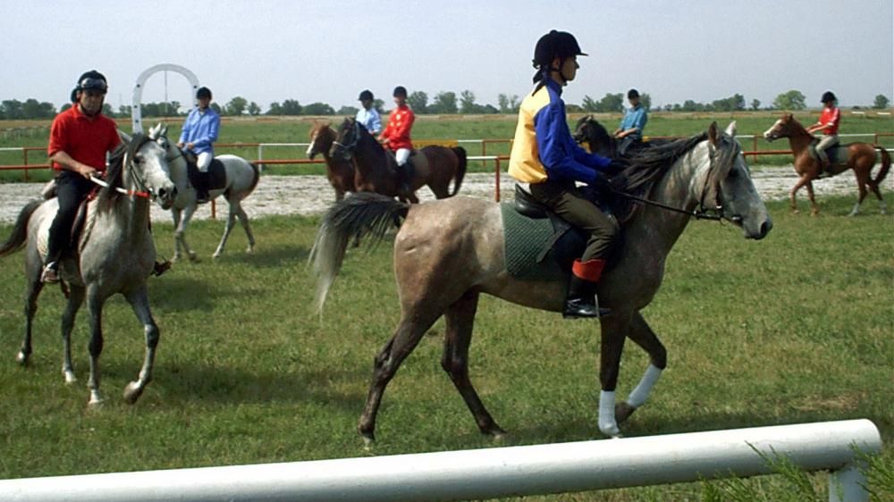 Oameni fără suflet! Îşi chinuie caii pentru spectacole 
