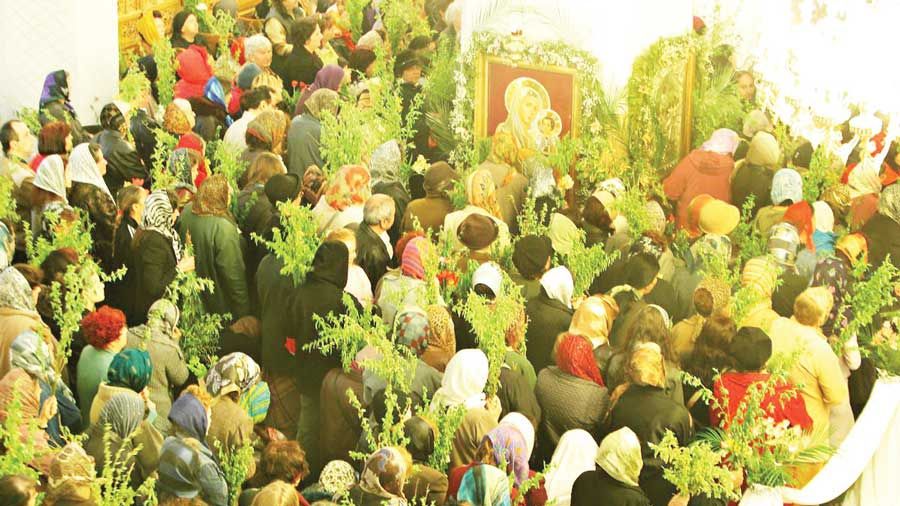 FLORIILE. Unde se pune salcia sfiinţită în casă pentru a aduce noroc? Puţini ştiu acest lucru