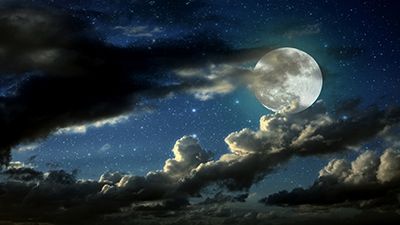 Luna Floare în Scorpion: ce înseamnă pentru fiecare zodie