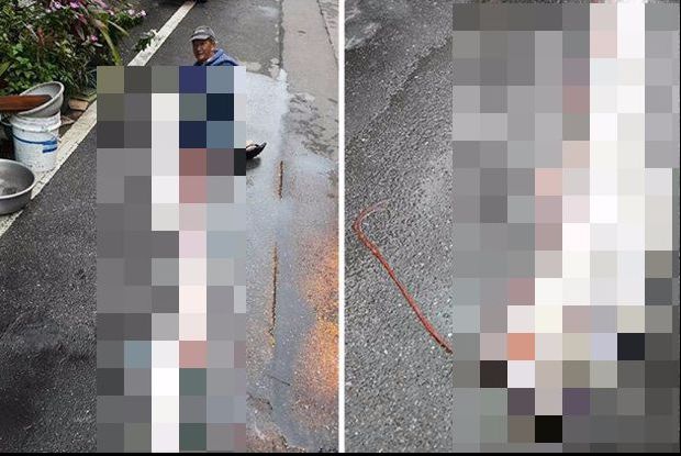 Monstrul „trezit” de cutremur. Captura unui pescar taiwanez a înspăimântat toți sătenii